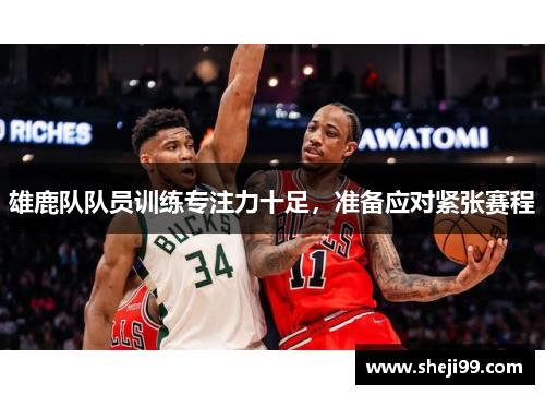 雄鹿队队员训练专注力十足，准备应对紧张赛程